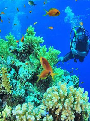 Travel Tour Philippines | Diving