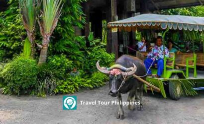 Travel Tour Philippines | Villa Escudero Tour