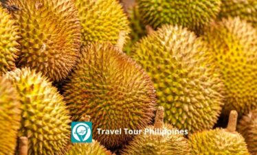 Travel Tour Philippines | Davao