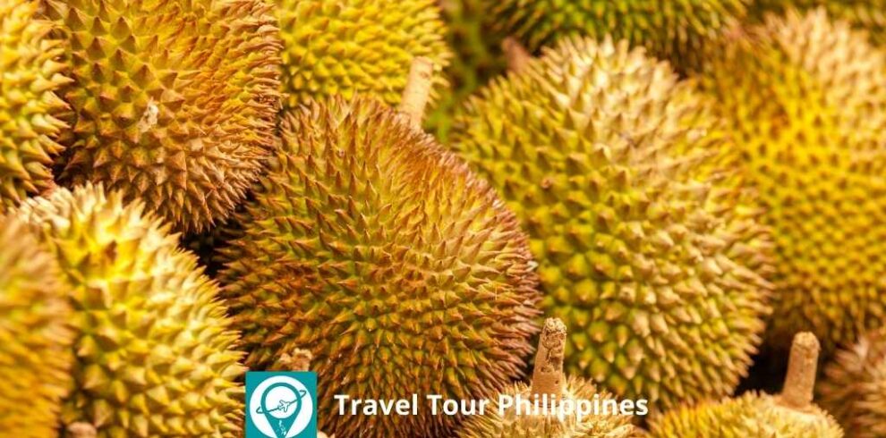 Travel Tour Philippines | Davao